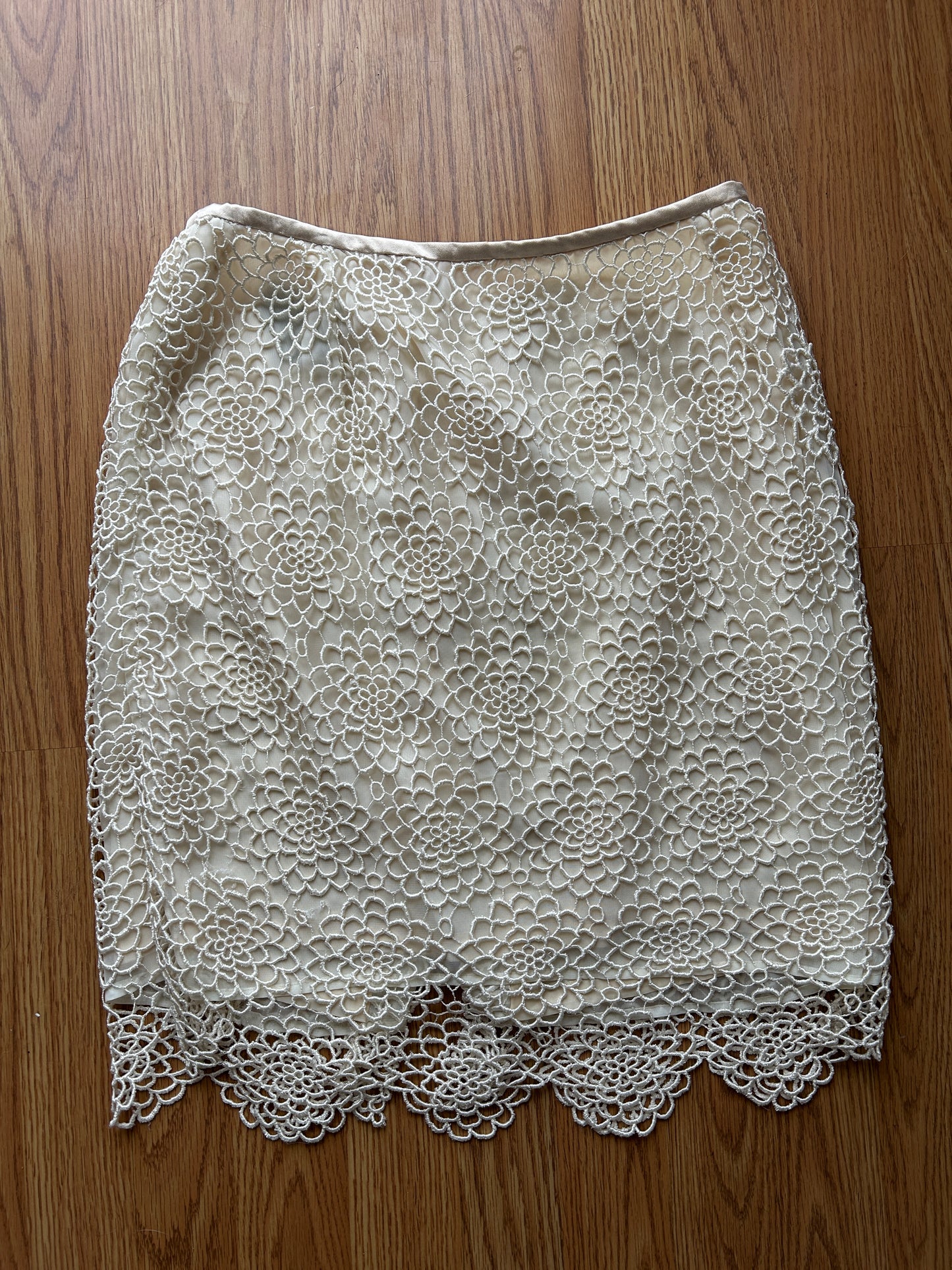 Vintage Lace Lined Skirt
